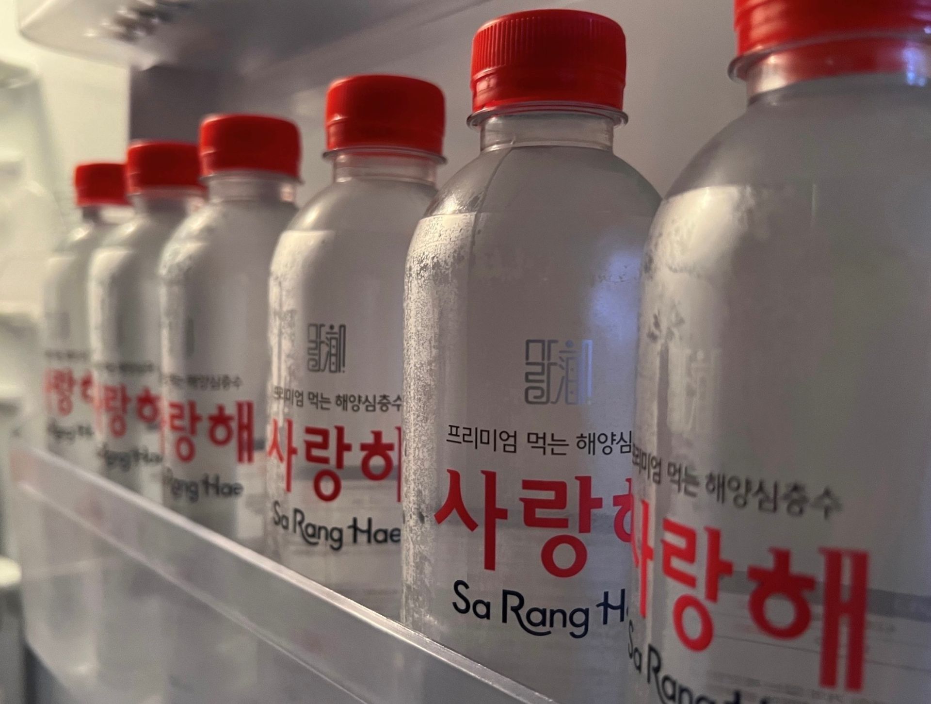 從水開始，開啟健康新篇章